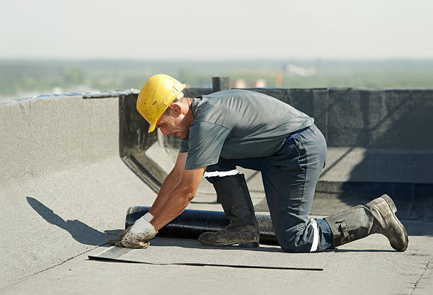 Best Insulation Removal  in Thermopolis, WY